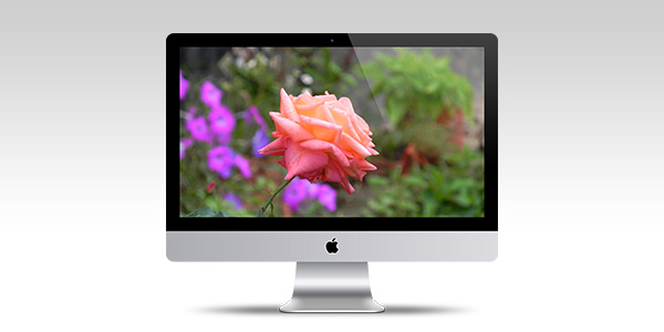 Apple Imac Psd Template