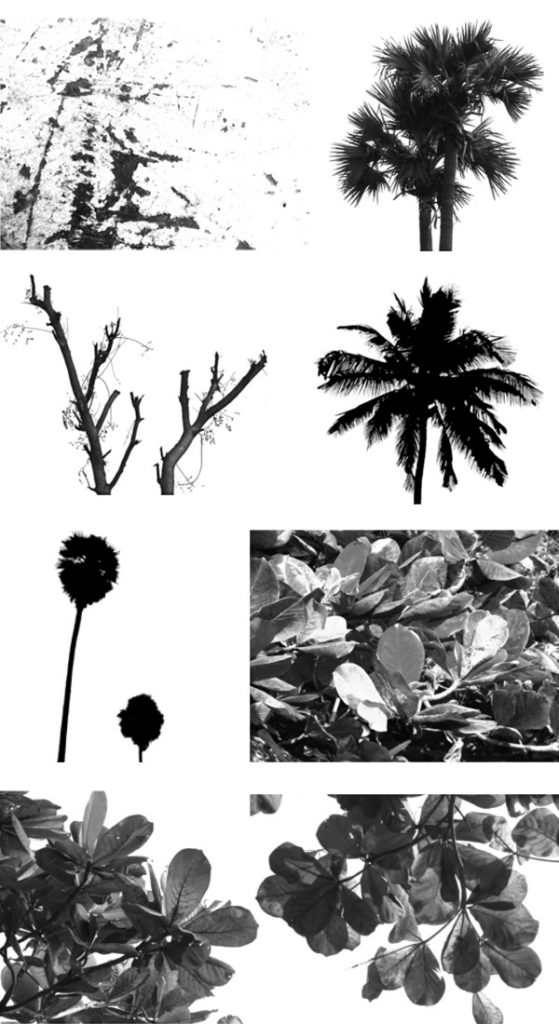 High quality nature brushes GraphicsFuel