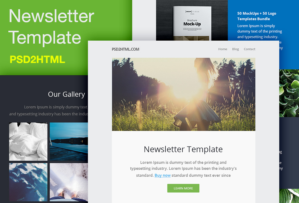 Download Free Newsletter Template Psd Html Graphicsfuel PSD Mockup Templates