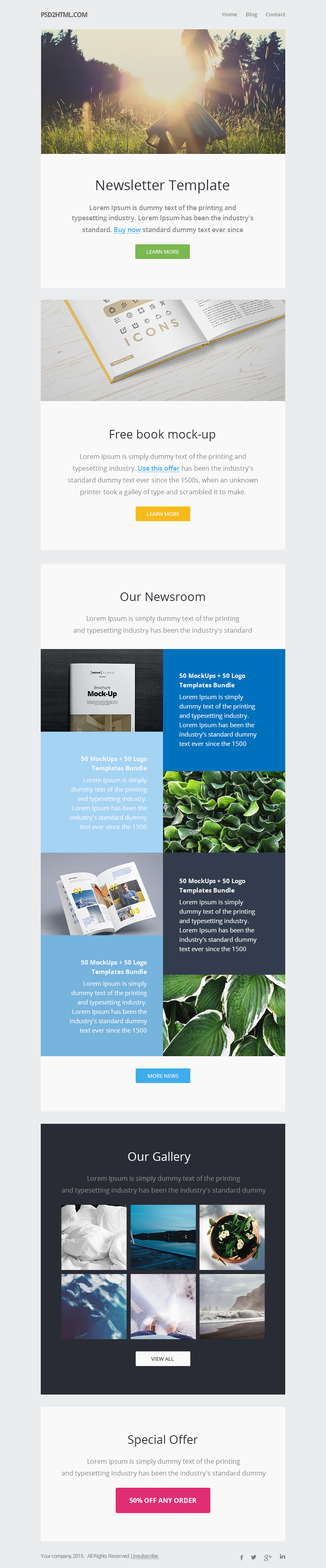 Newsletter Email Template