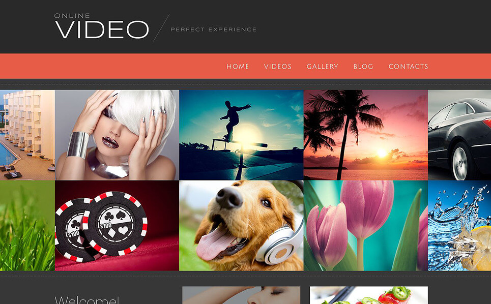 Video Blog WordPress Theme