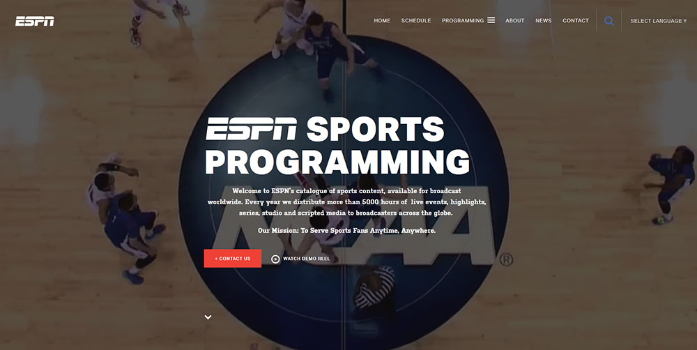 Sports Website