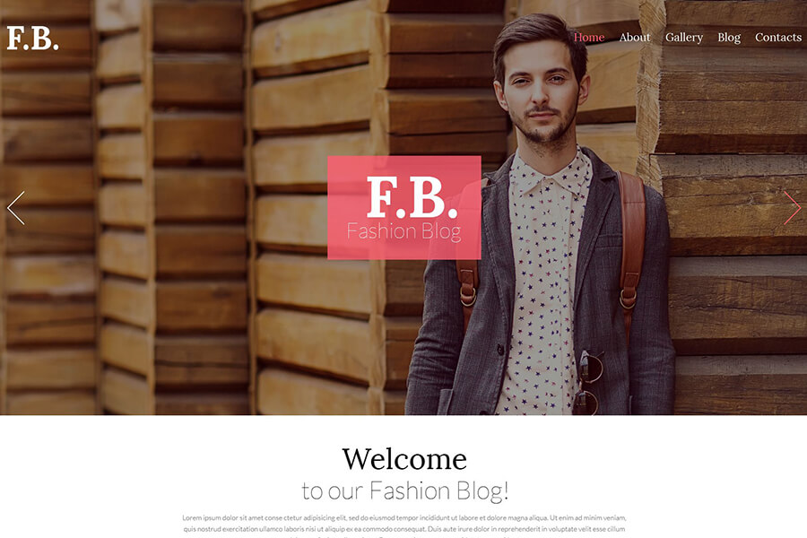 Fashion Blog WordPress theme