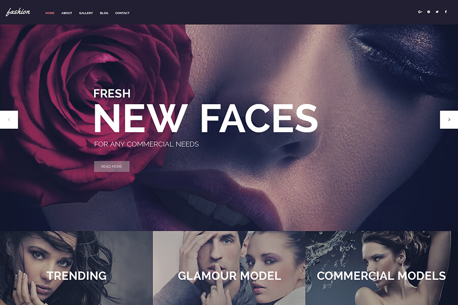 Fashion Spot WordPress theme