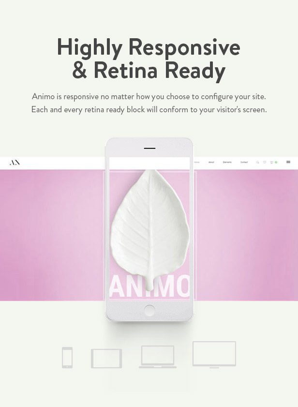 Animo Responsive Retina Ready