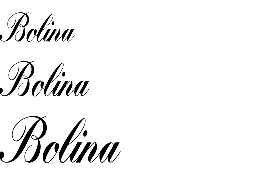 Bolina Script Font