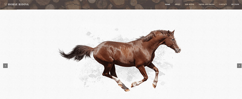 Be Horse WP Theme