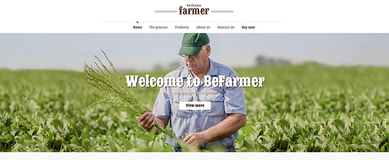 Be Farmer WP Theme