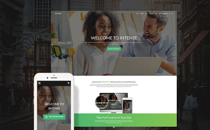  Intense - Multipurpose Website Template 