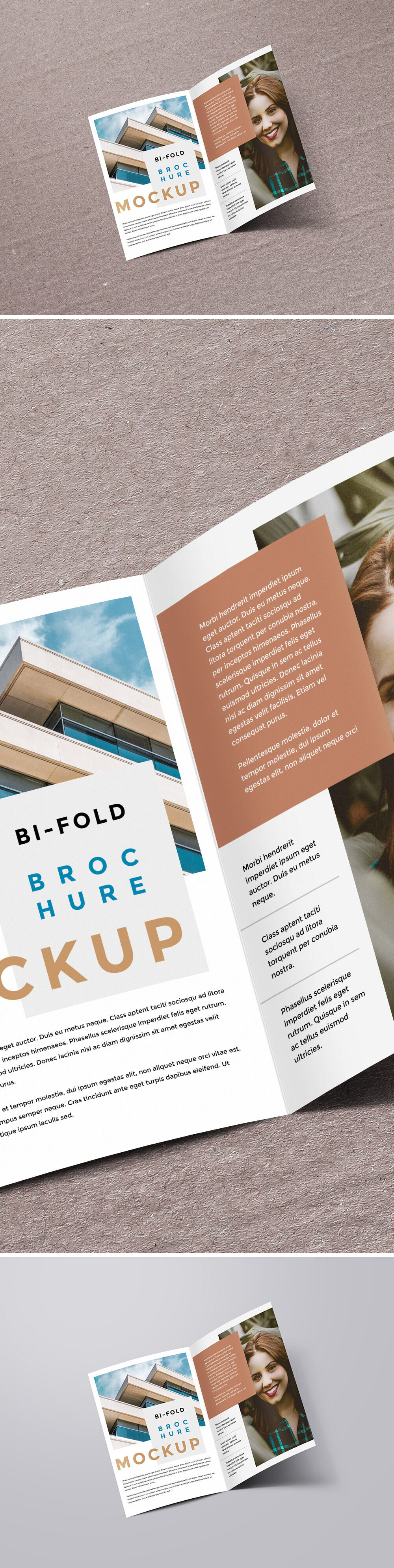 Bifold Brochure Mockup PSD
