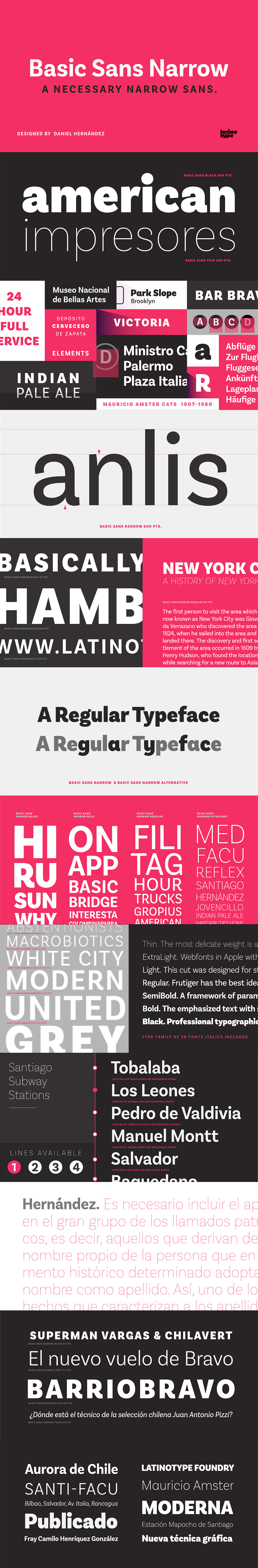 Definitive Fonts Bundle Basic Sans