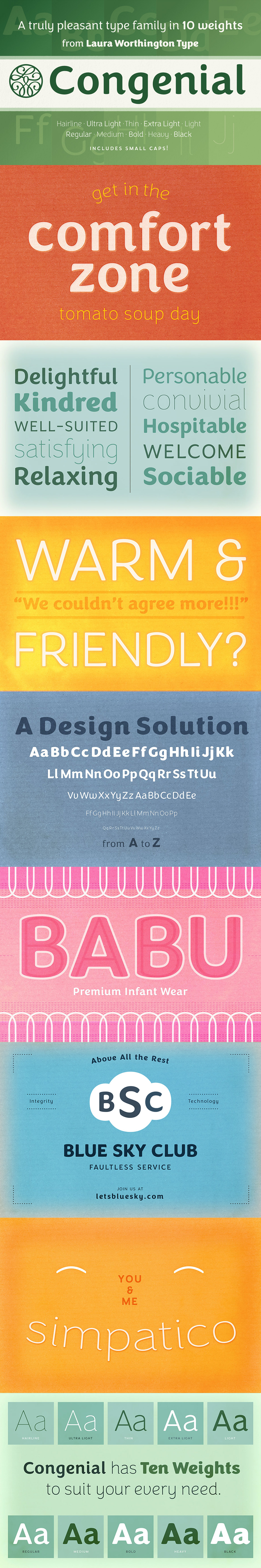 Definitive Fonts Bundle Congenial