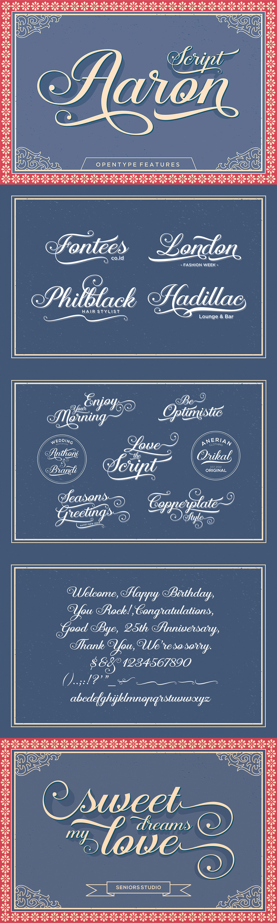 Definitive Fonts Bundle Aaron Script