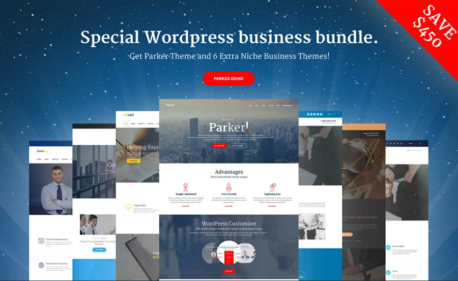 Special WordPress Bundle