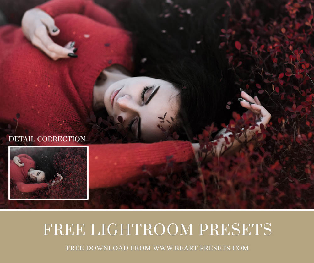 Free Lightroom Preset