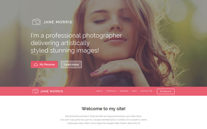 Free WP Theme for Photographer Portfolio