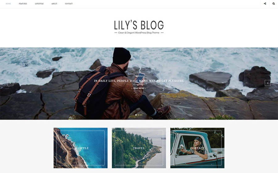 Lily - Clean & Elegant Blog WordPress Theme