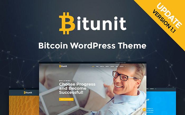 Bitcoin WordPress Template 