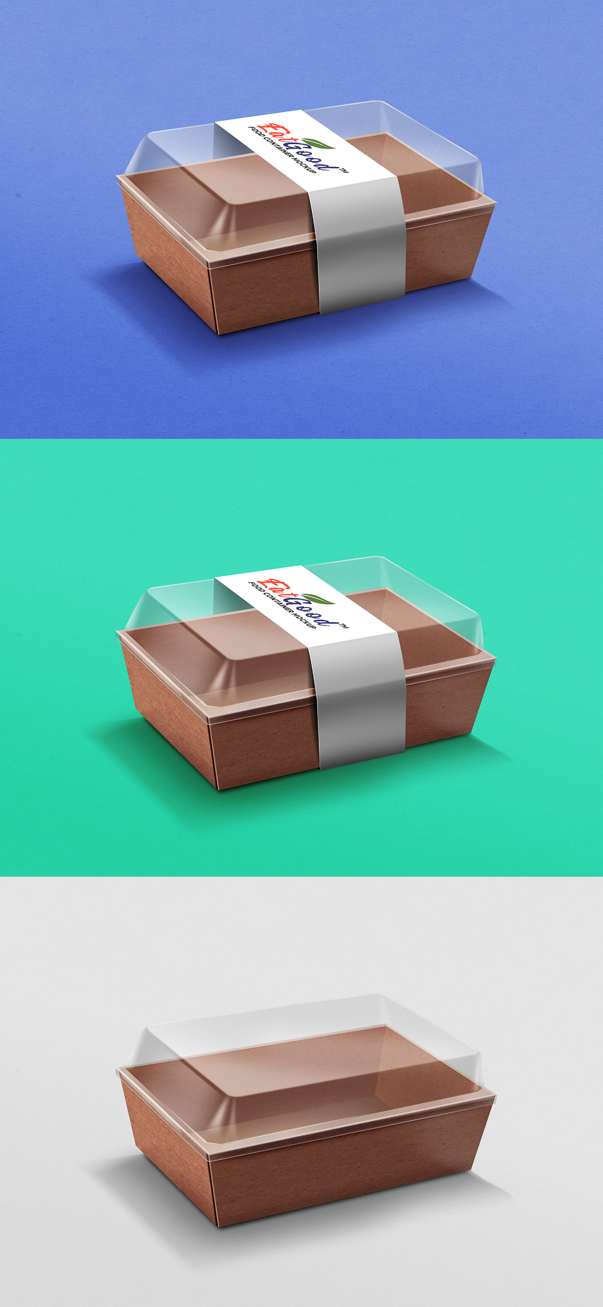 Food Container Paper Packaging Mockup