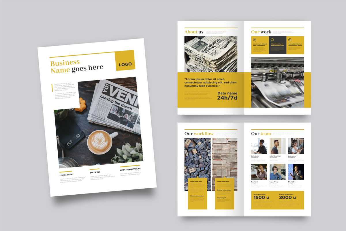 Professional Brochure Template