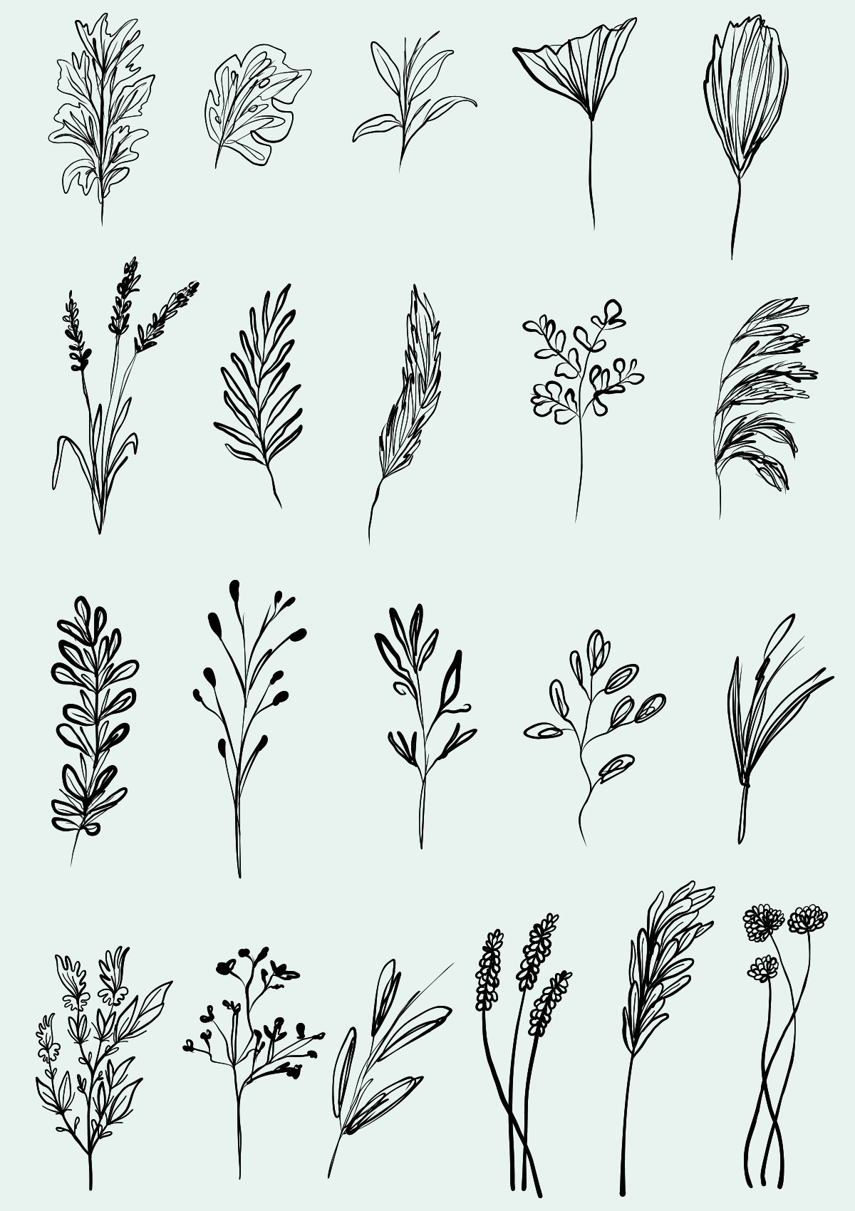 Hand Drawn Foliage Elements