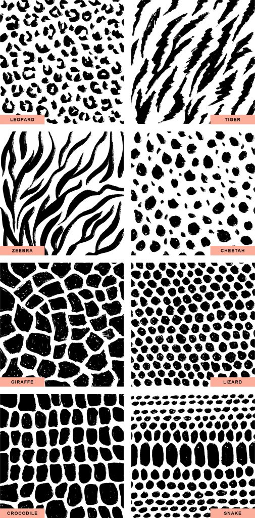 Animal Skin Patterns - Graphicsfuel