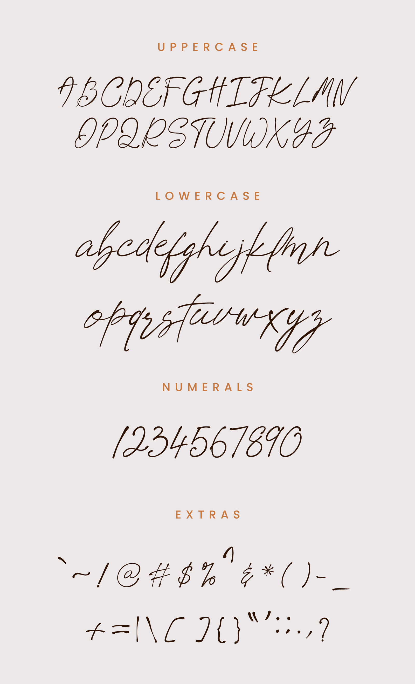 Moments Script Font