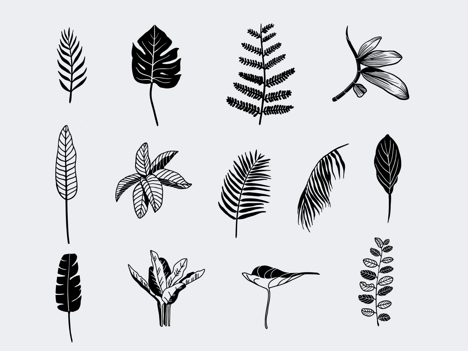 Vector Handrawn Tropical Leaves