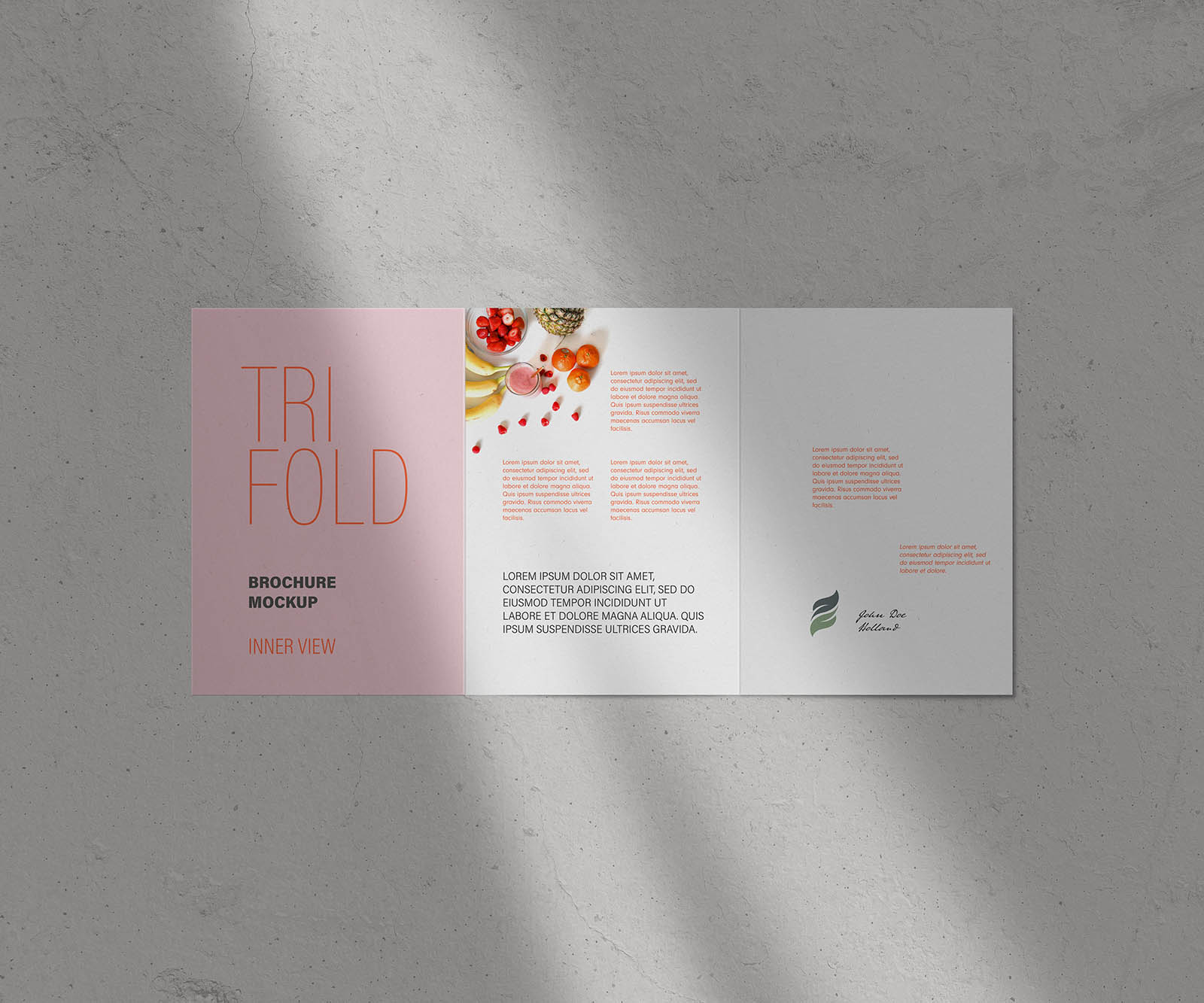 Free Trifold Brochure Mockup PSD
