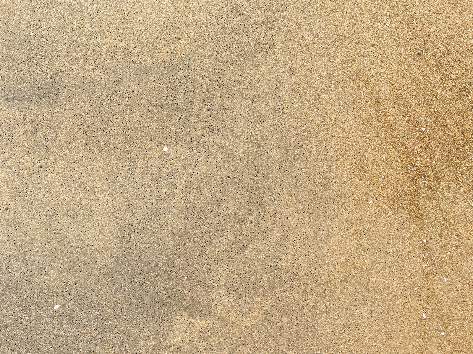 Beach Sand