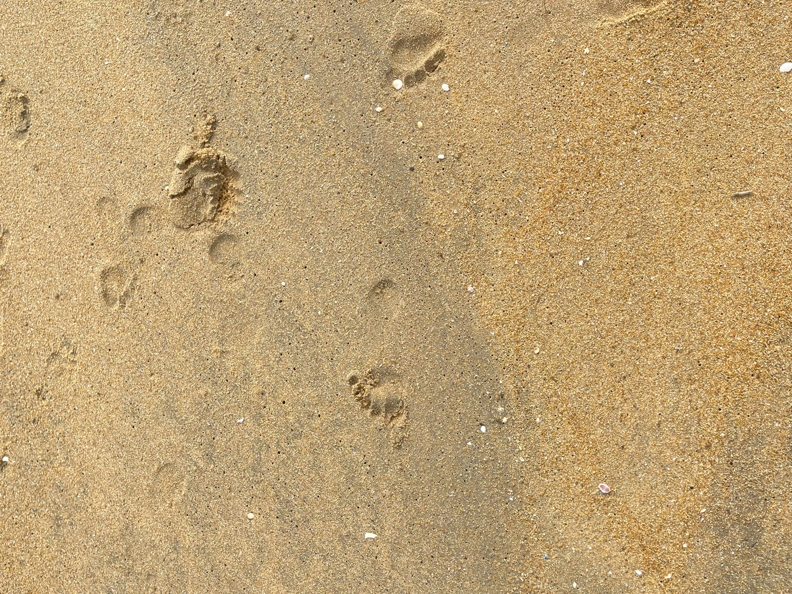 Beach sand textures