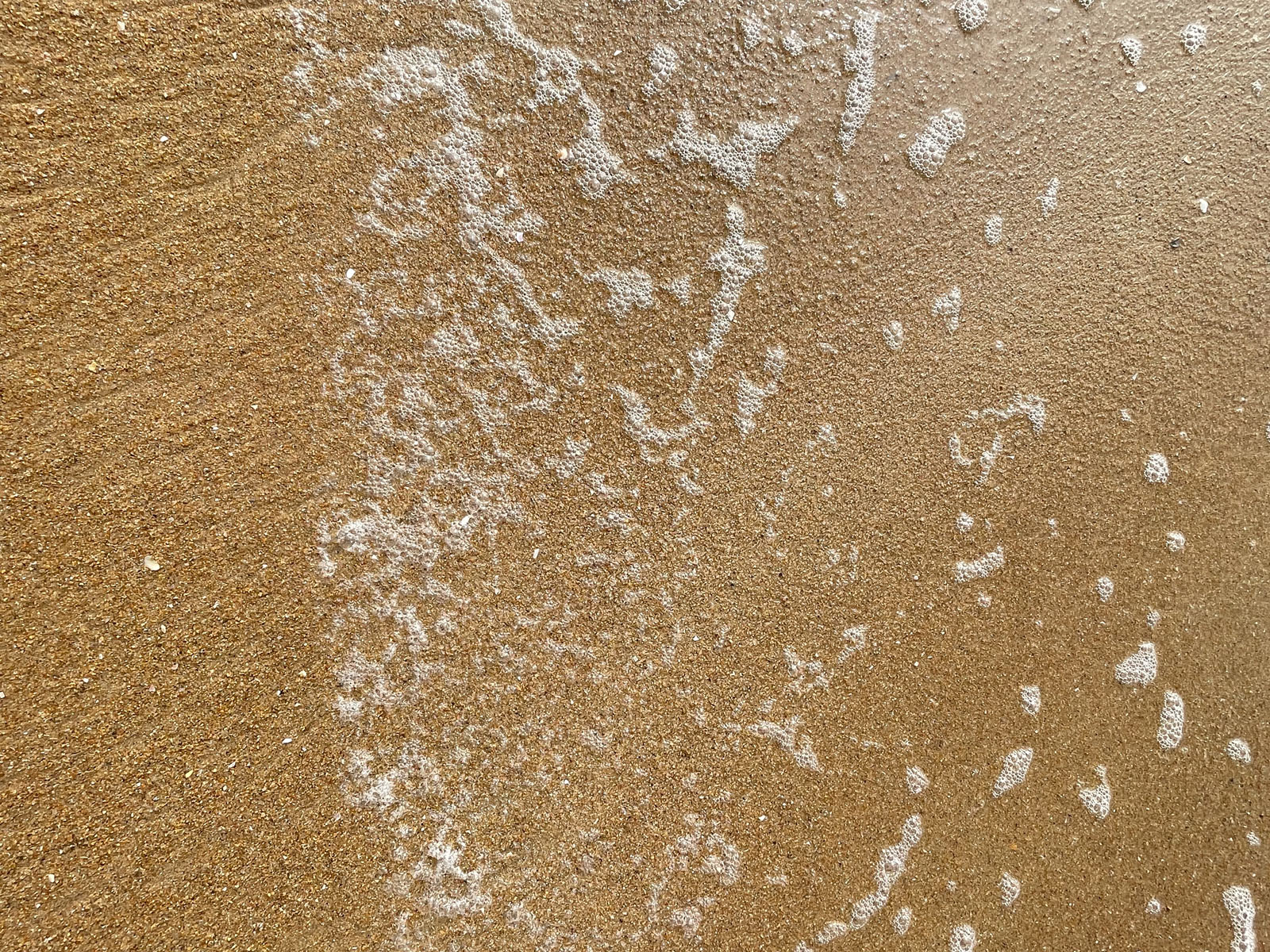 Seashore sand textures