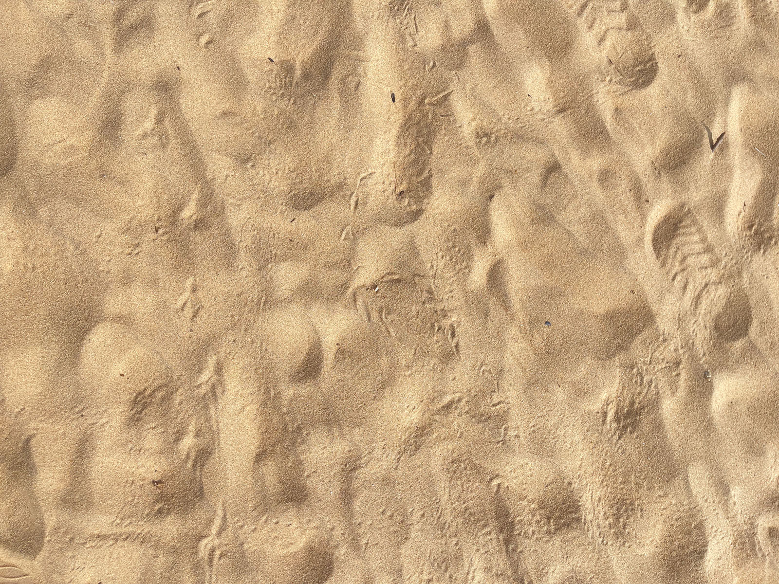 Free coastal sand textures