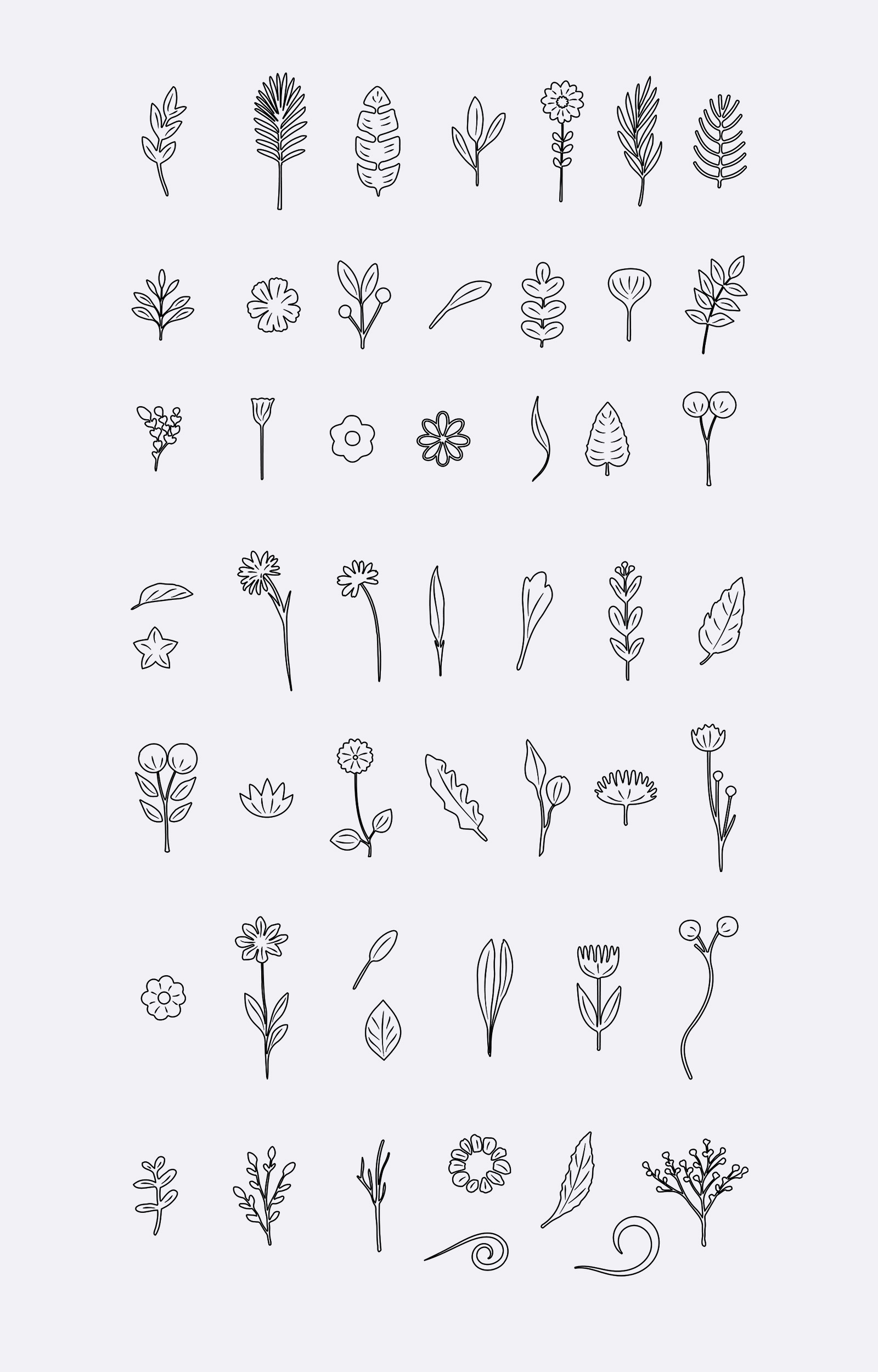 Vector botanical floral elements