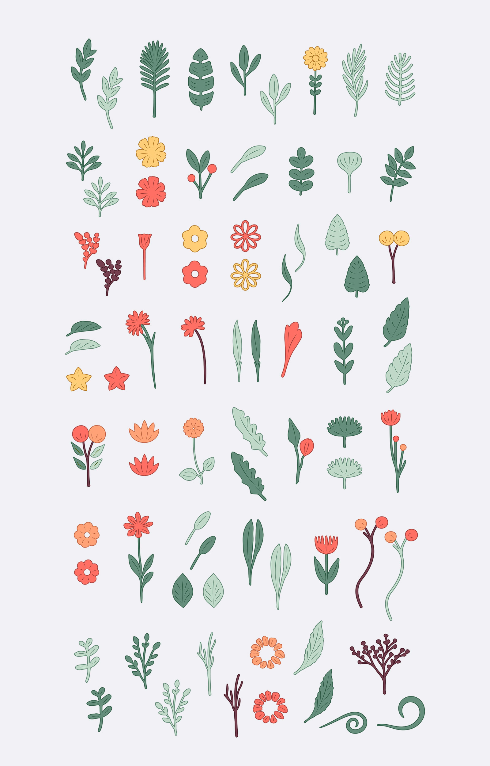 Nature botanical vector elements