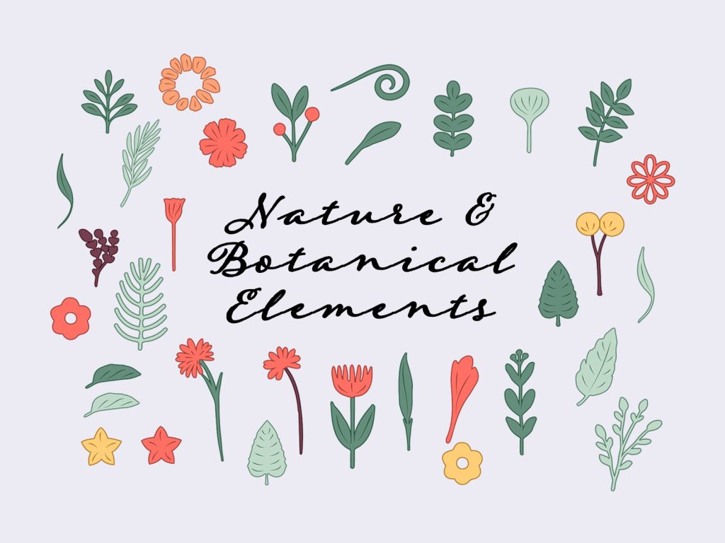 Nature and botanical vector elements