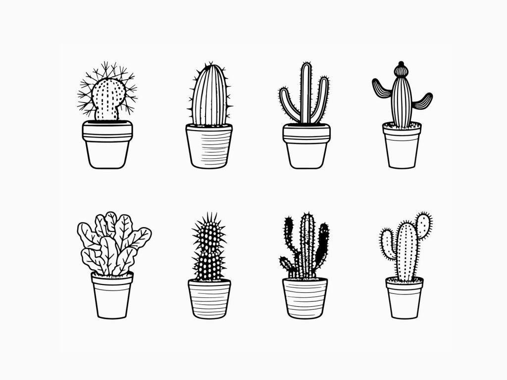 Vector cactus collection