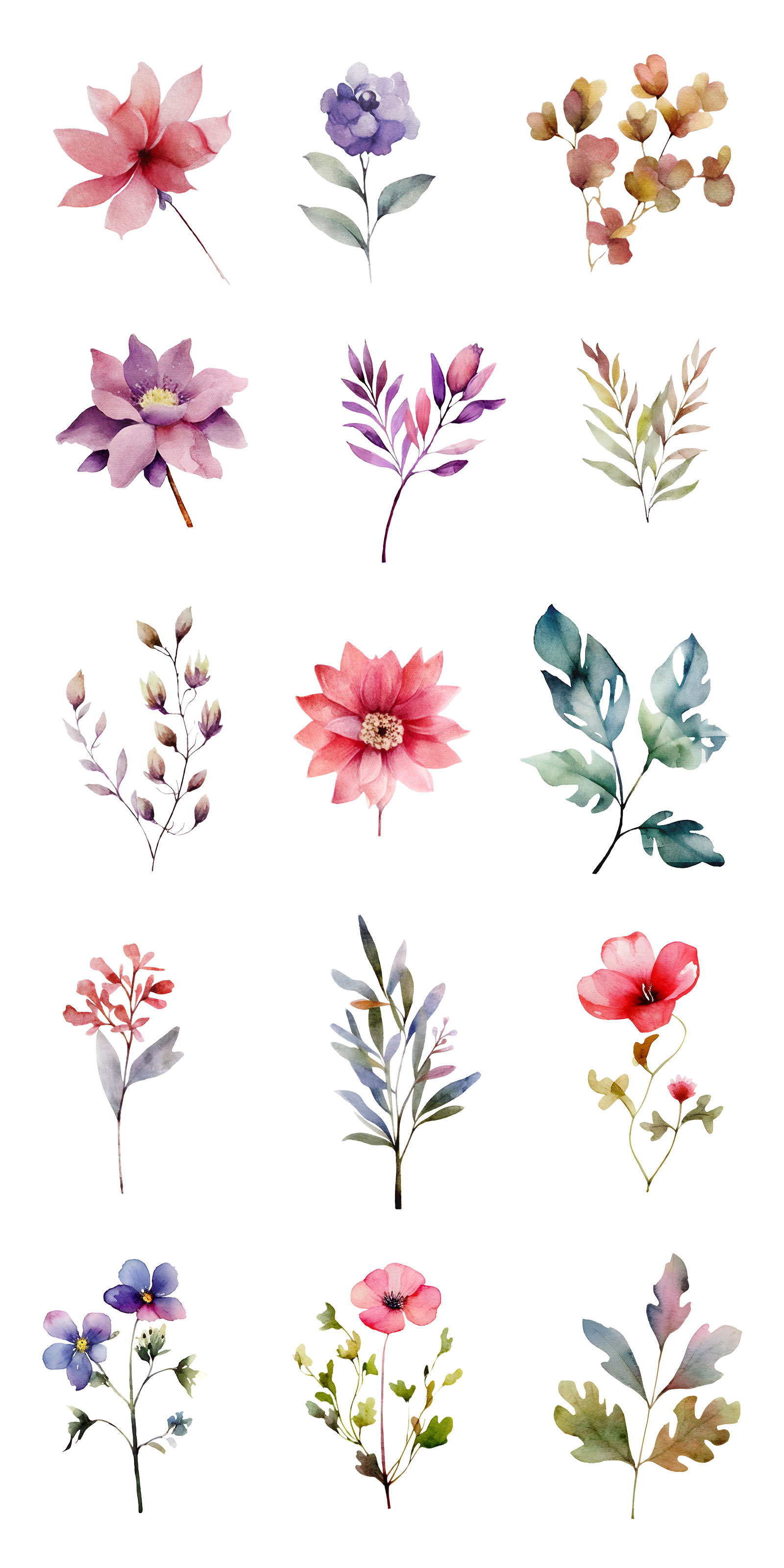 PNG Watercolor floral elements