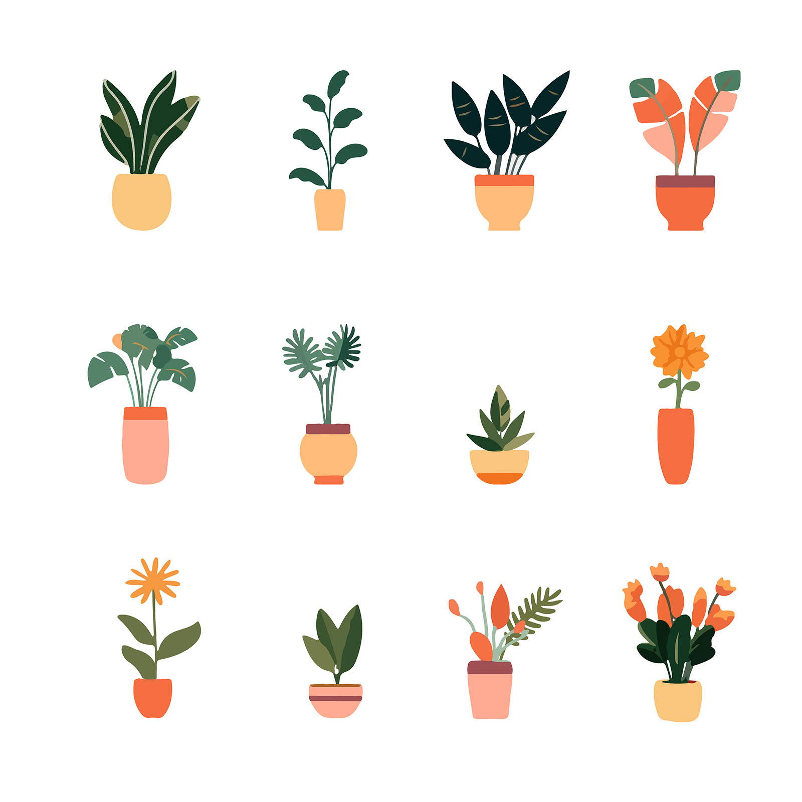Vector Indoor Plants Illustration Collection