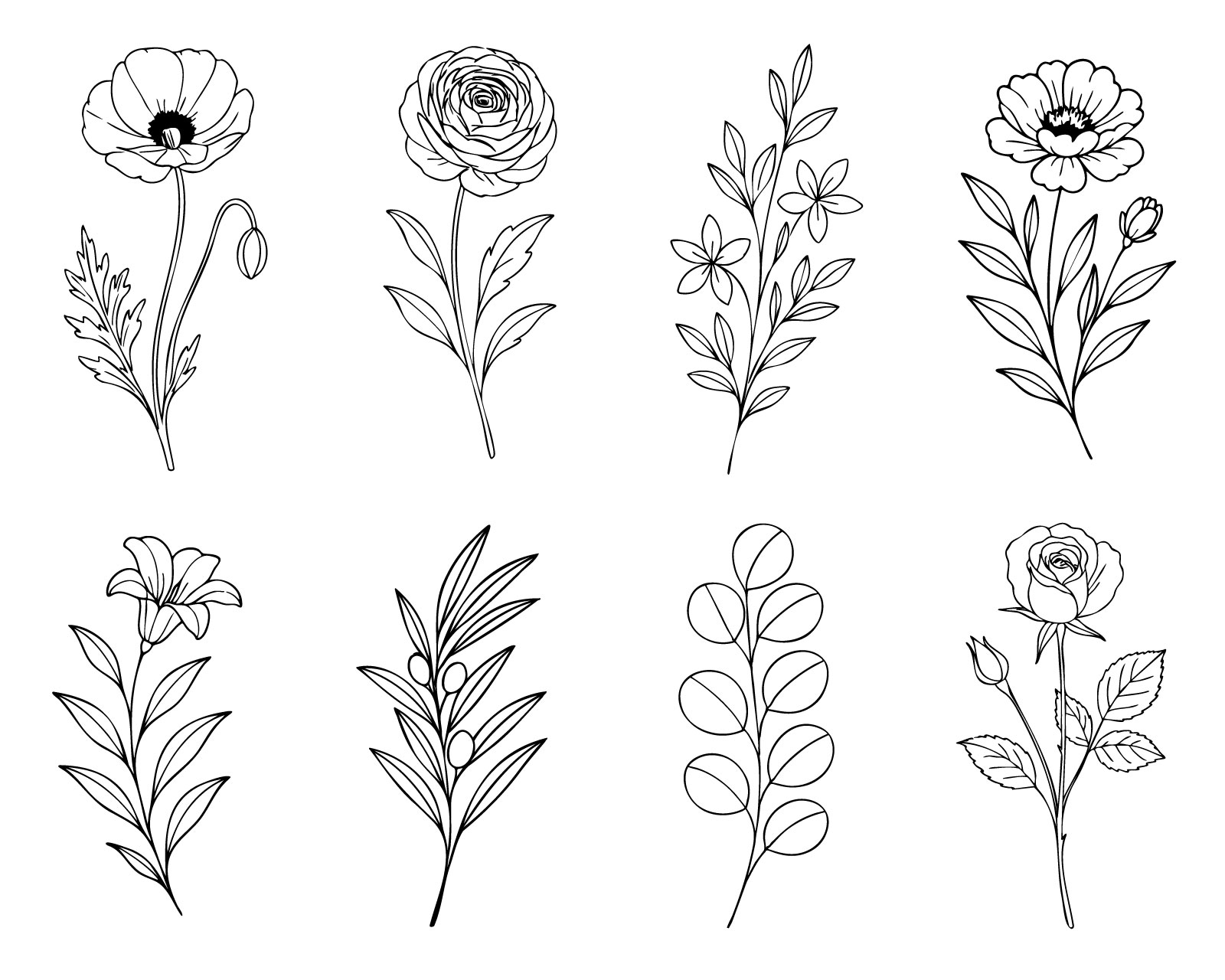 Elegant botanical line art set with minimalist floral and foliage illustrations