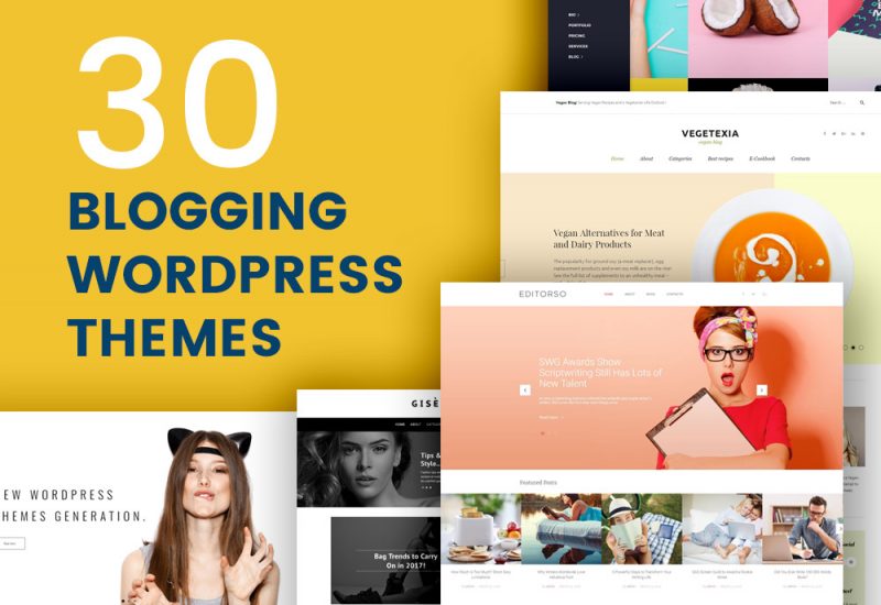 30 Blogging Wordpress Themes