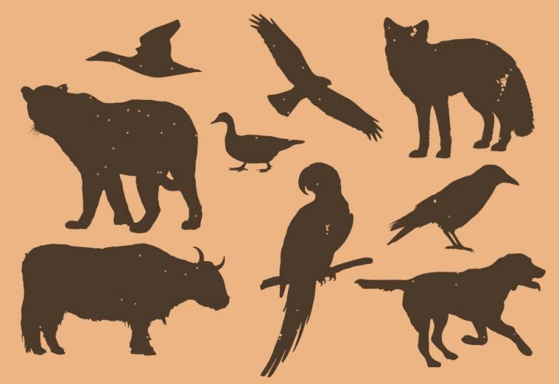 Animals & Birds Silhouette PSD