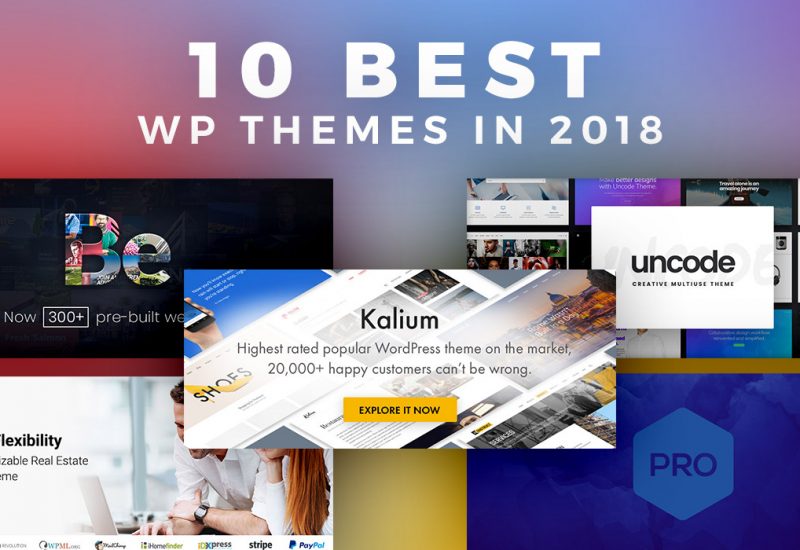 Best-WP-Themes-2018