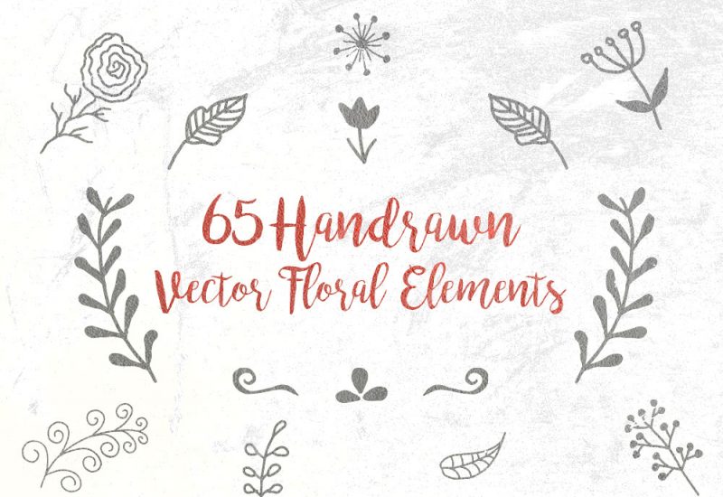Free Vector Handdrawn Floral Elements