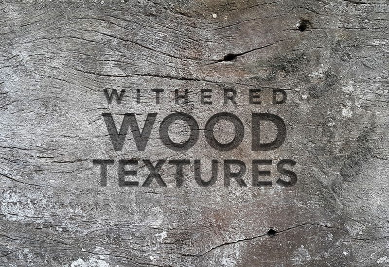 Free Withered Wood Textures
