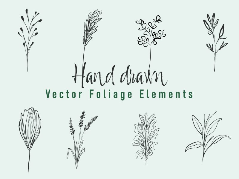 Hand Drawn Vector Foliage Elements