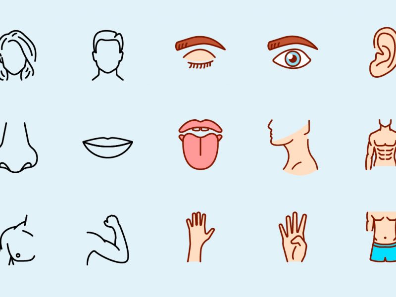 Human Body Parts Vector Icons