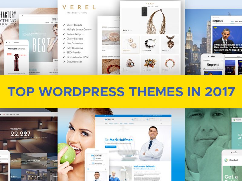 Top-WordPress-Themes-2017