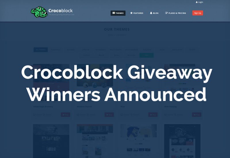WP-themes-Giveaway-winners