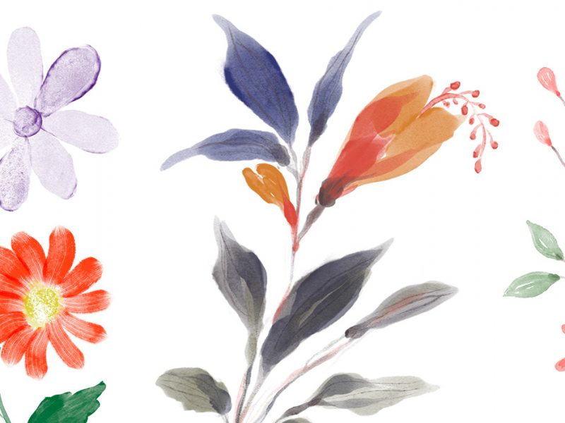 Hand-painted Watercolour Floral Elements